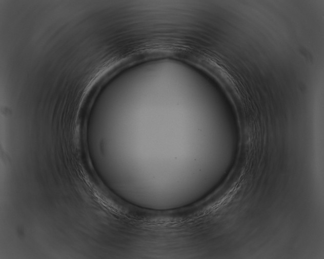 X0000090480779200708031124