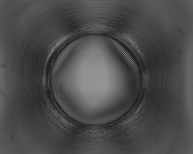 X0000090480780200708031124
