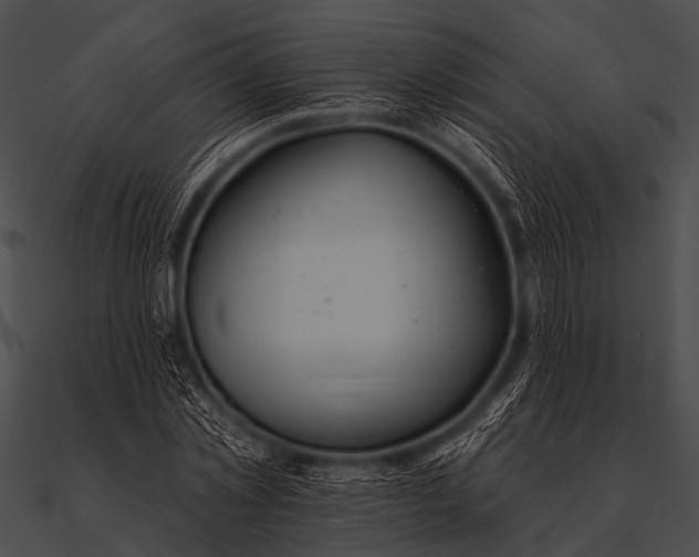 X0000090480781200708031124