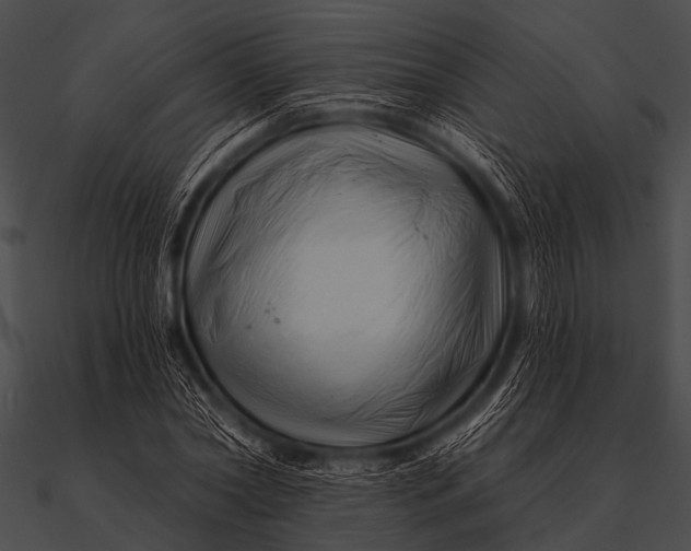 X0000090480782200708031124