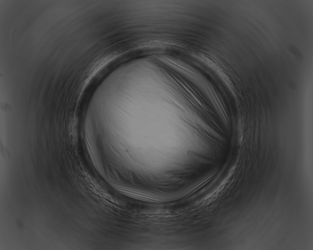 X0000090480783200708031124