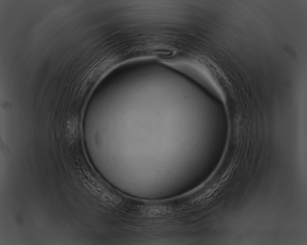 X0000090480785200708031123