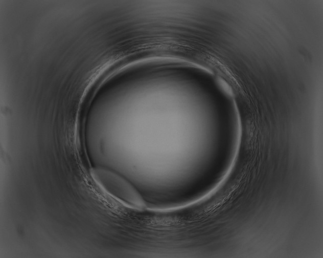 X0000090480788200708031123