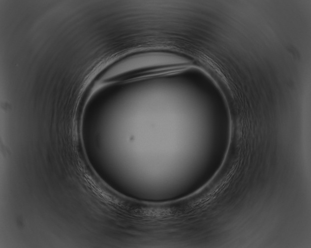 X0000090480789200708031123