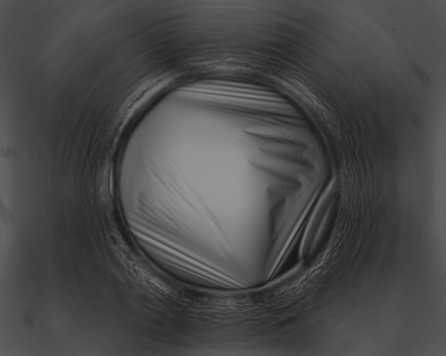 X0000090480790200708031123