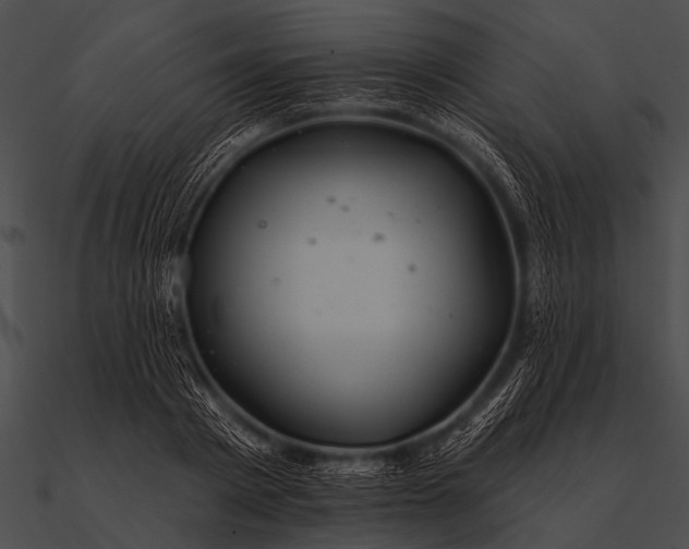 X0000090480793200708031123