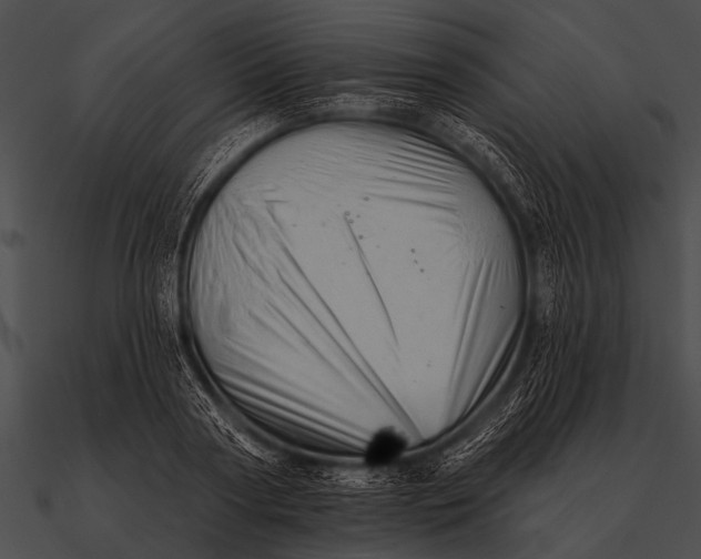 X0000090480794200708031123