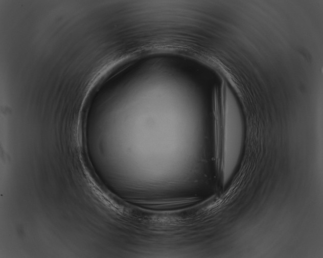 X0000090480795200708031123
