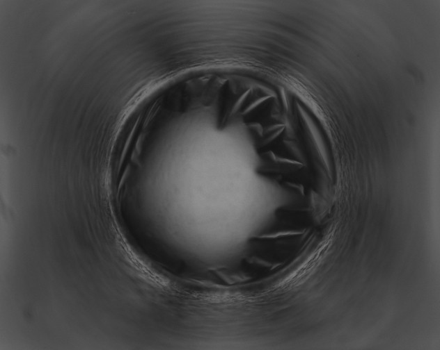 X0000090480797200708031123