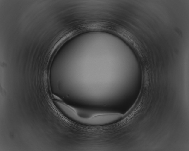 X0000090480798200708031123