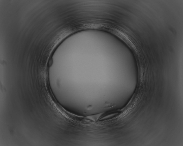 X0000090480802200708031123