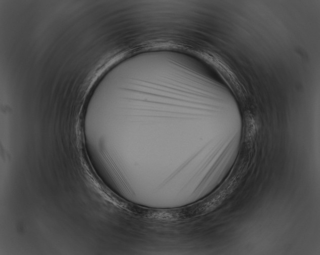 X0000090480806200708031123