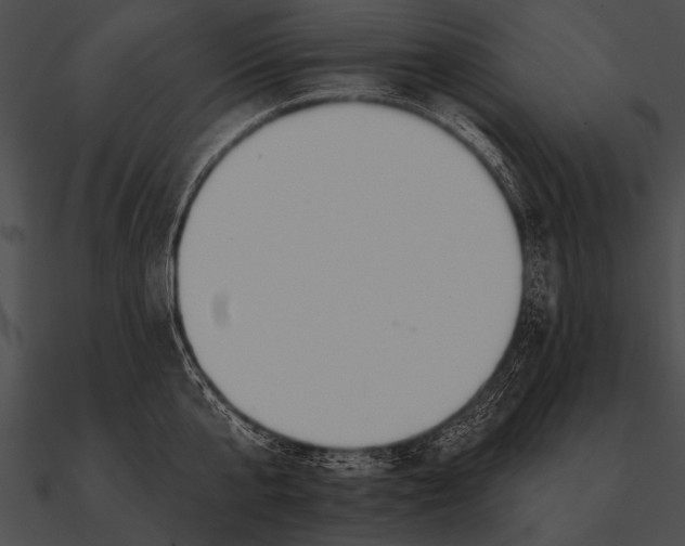 X0000090480807200708031123