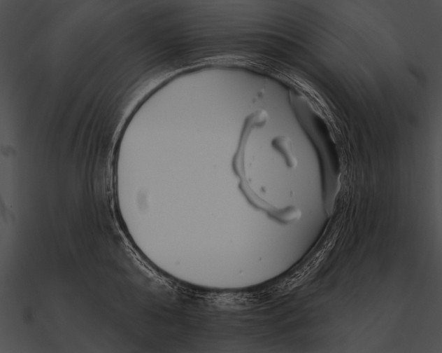 X0000090480808200708031123