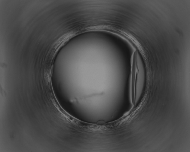 X0000090480809200708031123