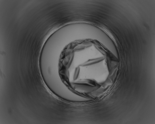 X0000090480813200708031123