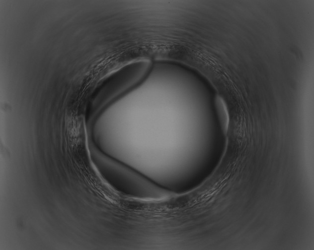X0000090480818200708031122