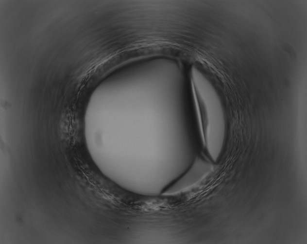 X0000090480822200708031122