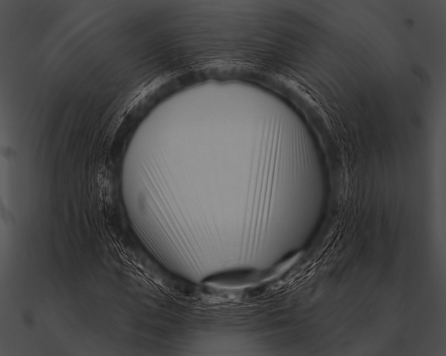 X0000090480823200708031122