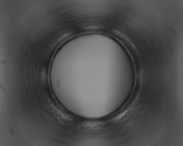 X0000090480825200708031122