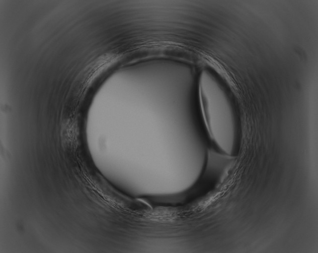 X0000090480826200708031122