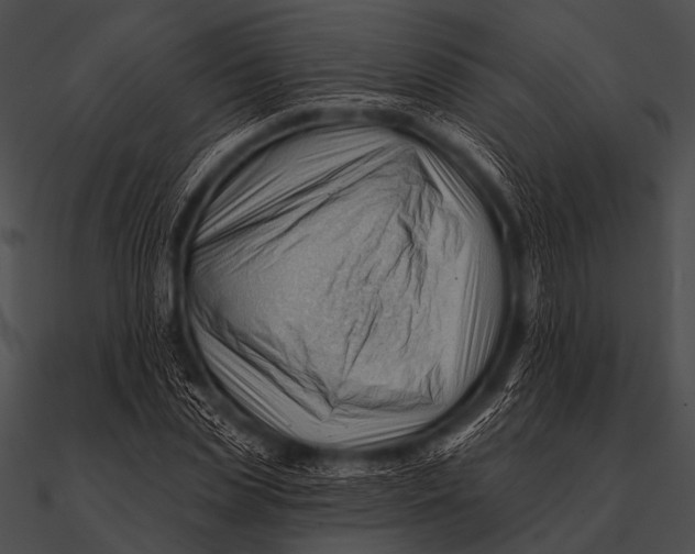 X0000090480829200708031122