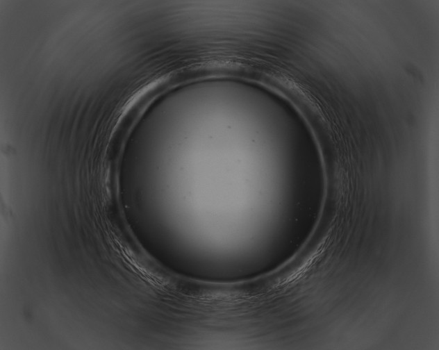 X0000090480830200708031123