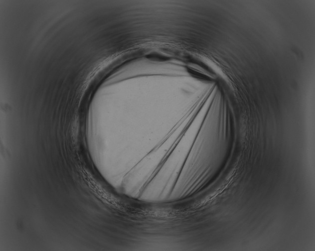 X0000090480831200708031123