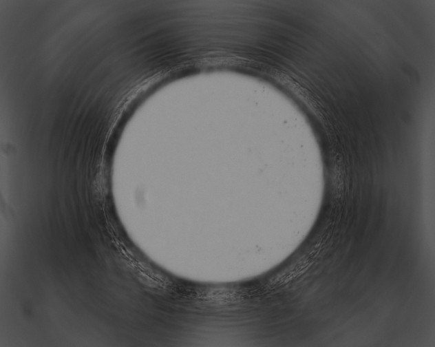 X0000090480832200708031123