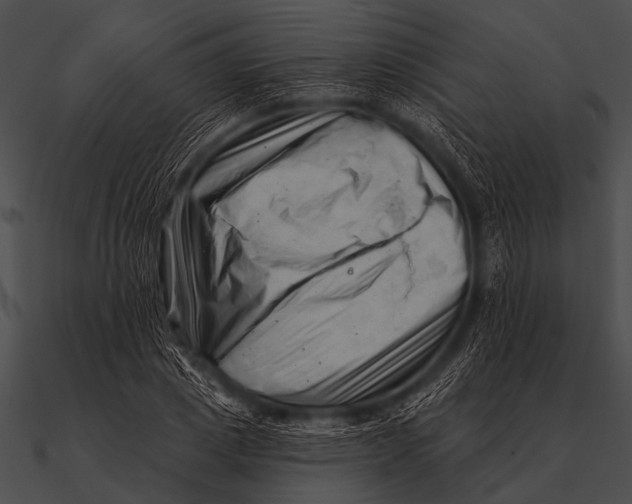 X0000090480833200708031123