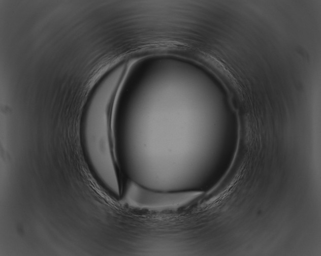 X0000090480834200708031123