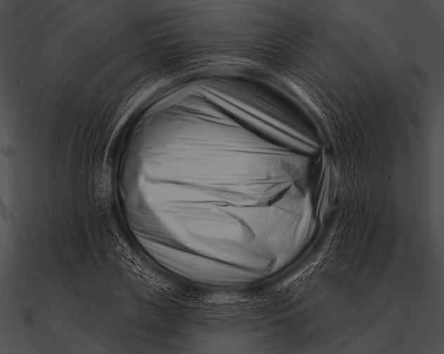 X0000090480835200708031123