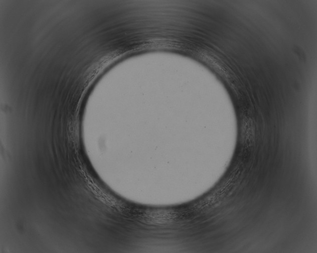 X0000090480836200708031123