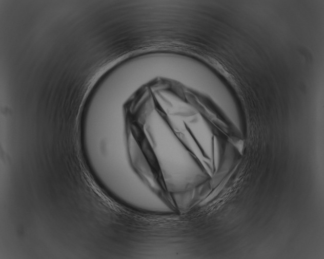 X0000090480838200708031123