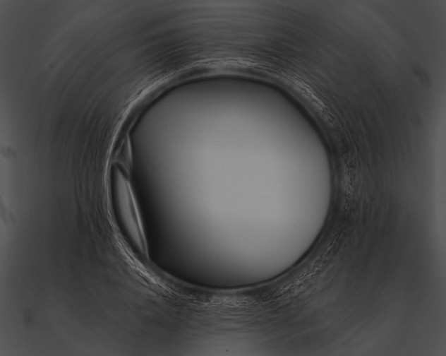 X0000090480840200708031123