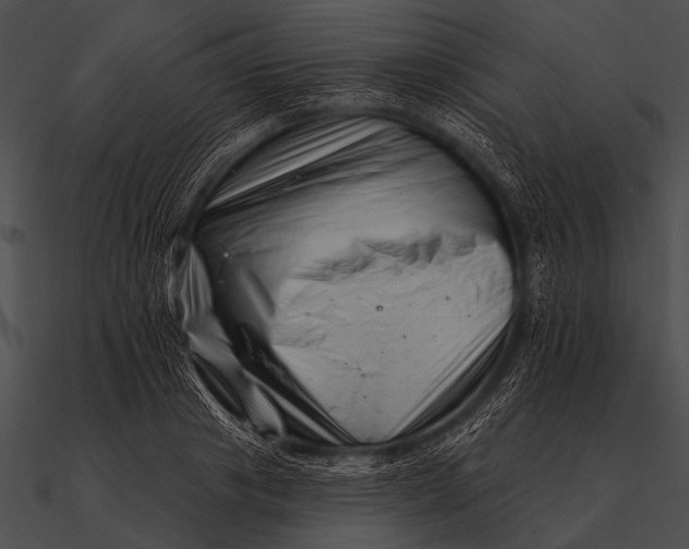 X0000090480841200708031123