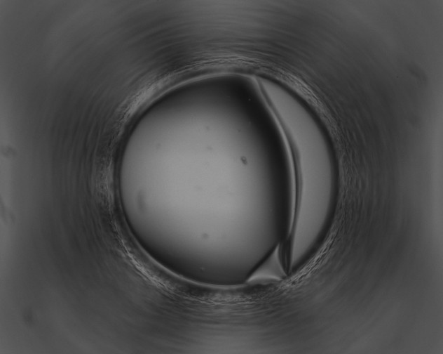 X0000090480842200708031123