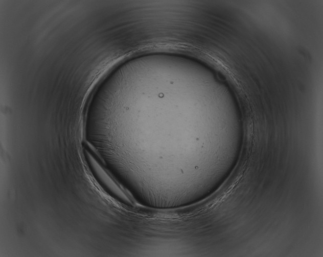X0000090480844200708031123