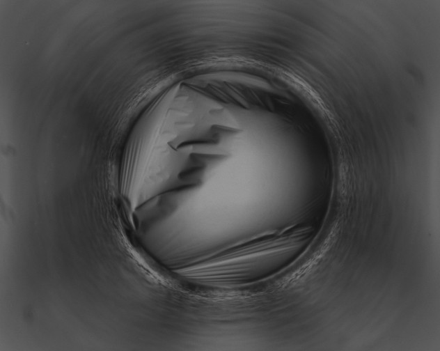 X0000090480849200708031123