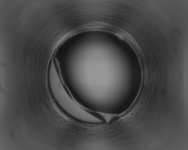 X0000090480850200708031123