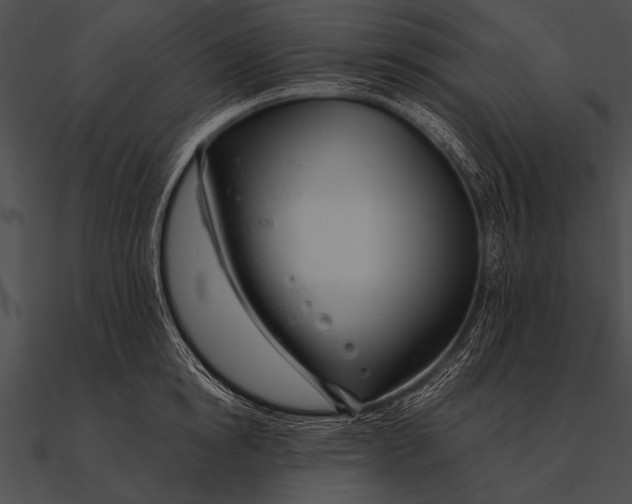 X0000090480854200708031123