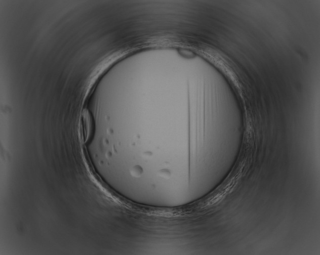 X0000090480855200708031123