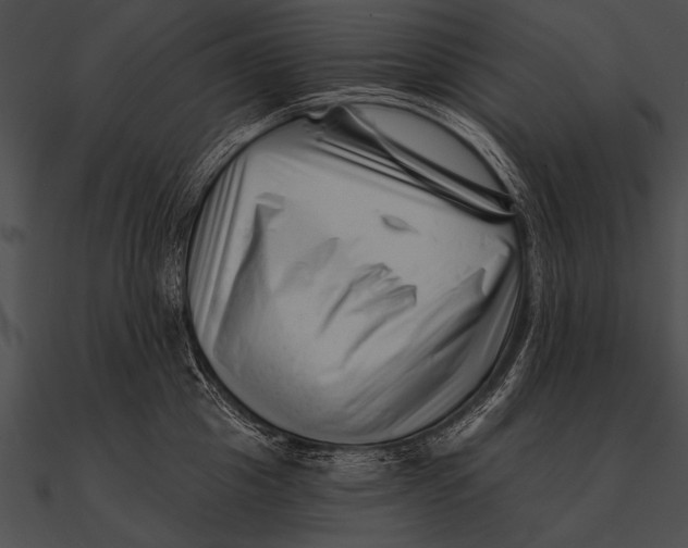 X0000090480857200708031123