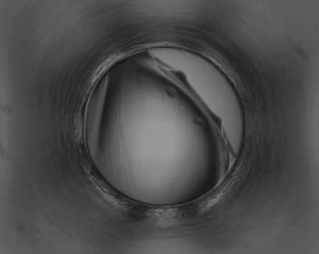 X0000090480858200708031123