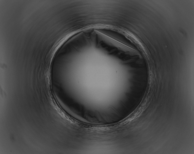 X0000090480860200708031123