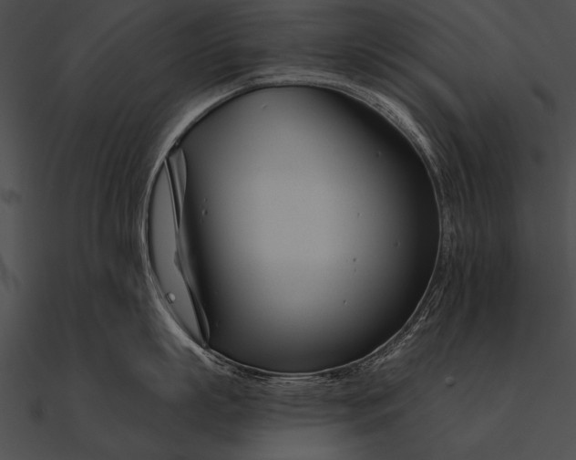 X0000090480863200708031123