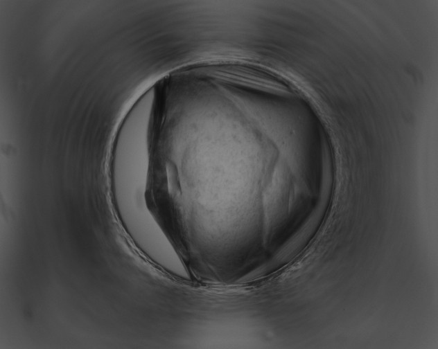 X0000090480864200708031123