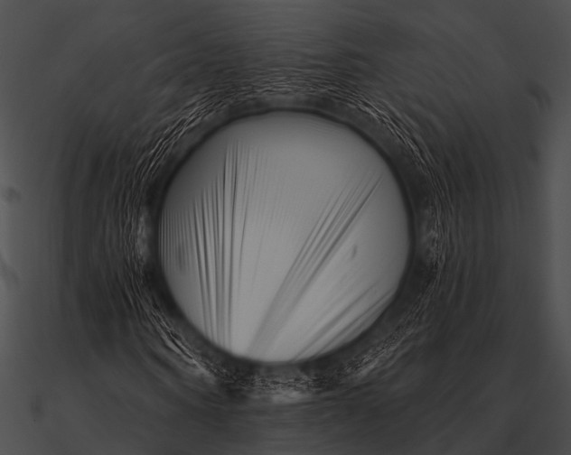 X0000090480866200708031122