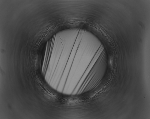 X0000090480867200708031122