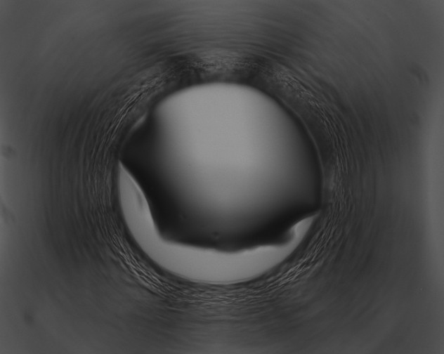 X0000090480868200708031122
